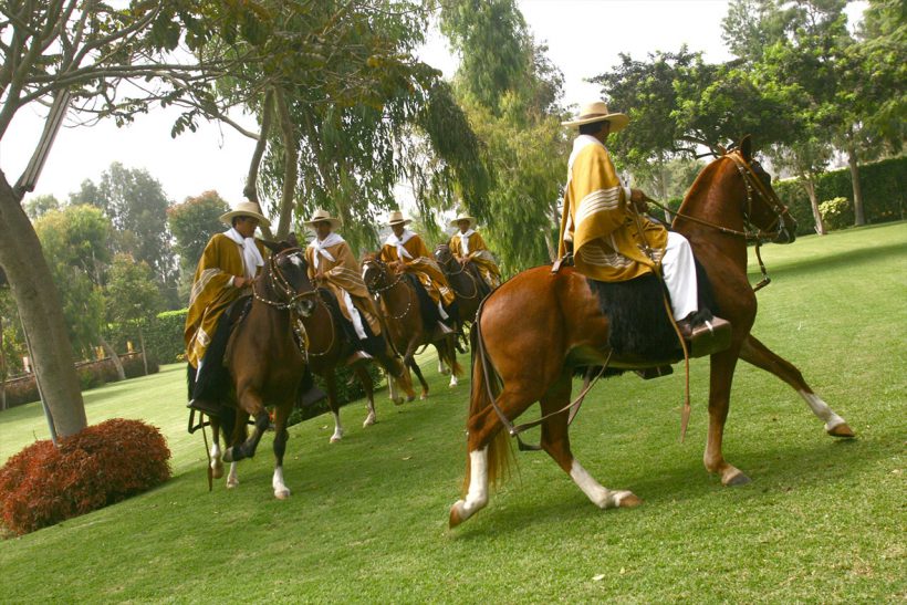 peru-peru-especial-03